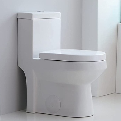 HOROW Small Short 1-Piece Toilet Dual Flush 10'' Rough-in Seat Included