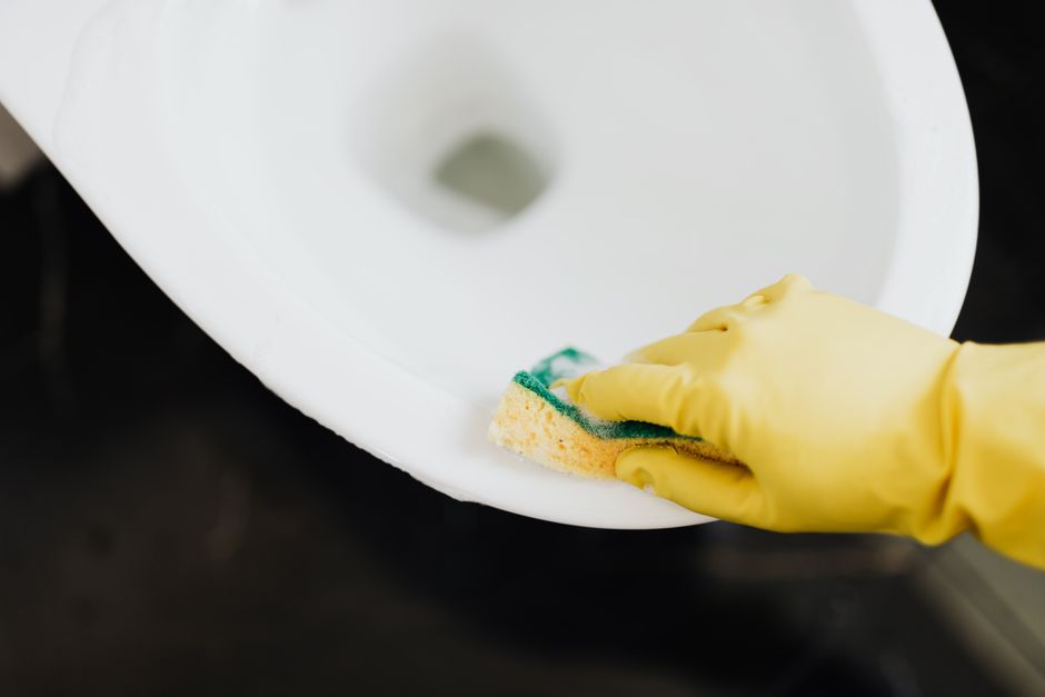 What Kind Of Infections Can You Get From A Toilet Seat? — Can You Really Get Infections from Toilet Seats?