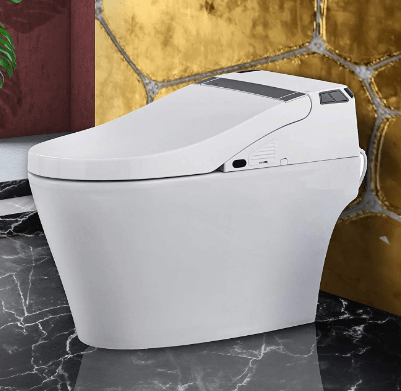 Fine Fixtures Elongated One Piece Smart Toilet & Bidet