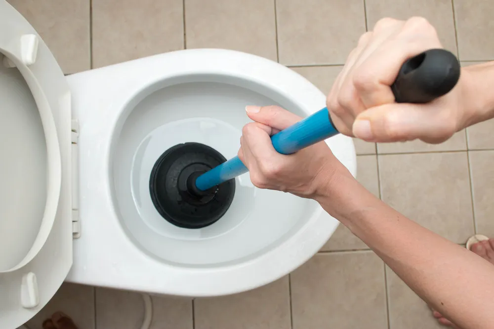 What To Do If Toilet Won't Flush