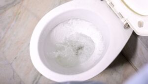 Why Does My Toilet Bubble When I Flush It? - Sanitary Supply