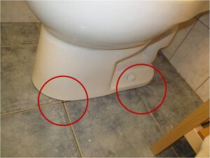 Why Is My Toilet Leaking From The Bottom When I Flush? - Sanitary Supply
