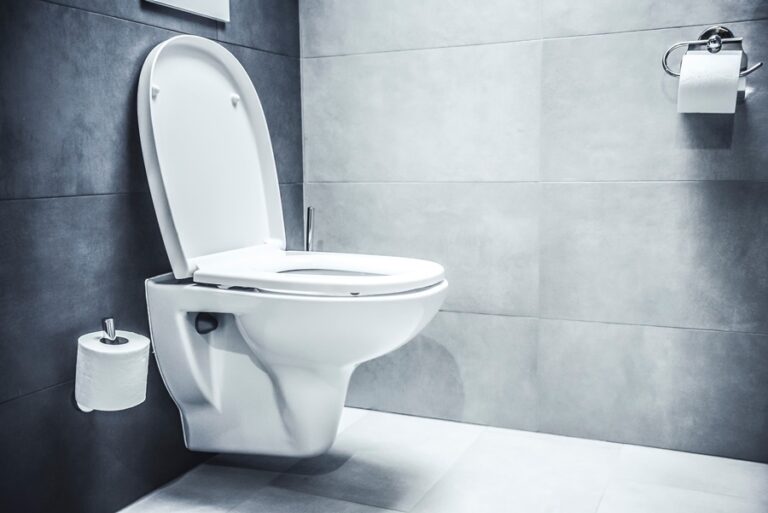 How To Clean Toilet Seat Without Ruining It - Sanitary Supply