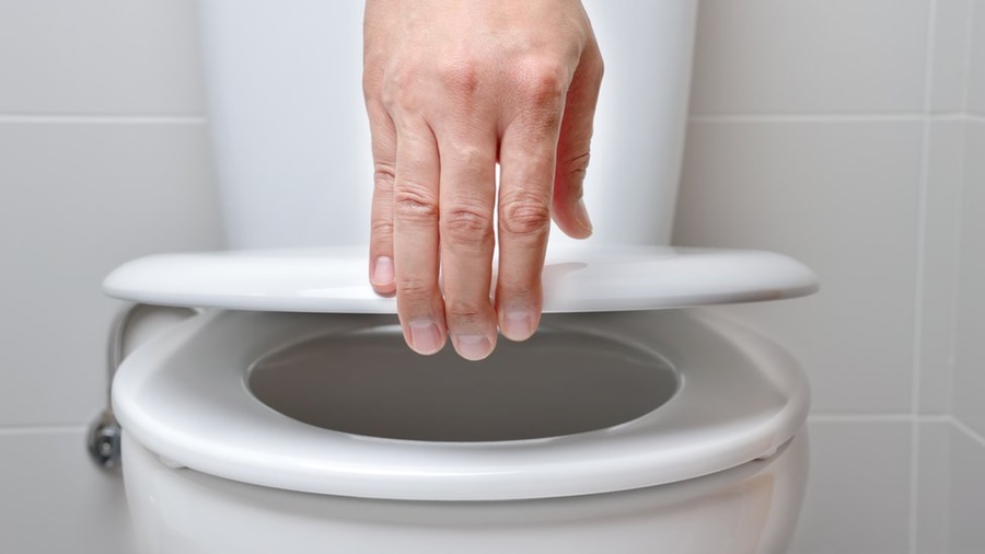 what kind of infections can you get from a toilet seat?