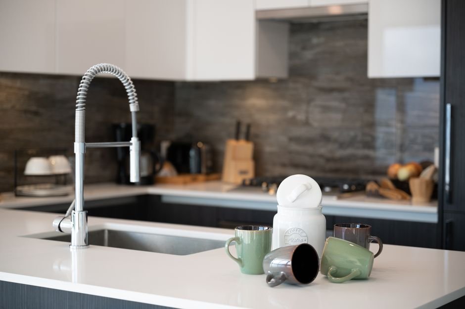 Delta Trinsic vs Moen Arbor kitchen faucet